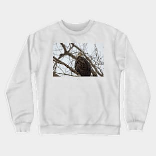 Eagle Crewneck Sweatshirt